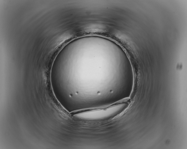 X0000097301305200802291805