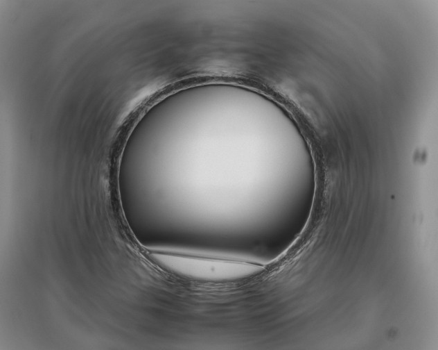 X0000097301307200802291805