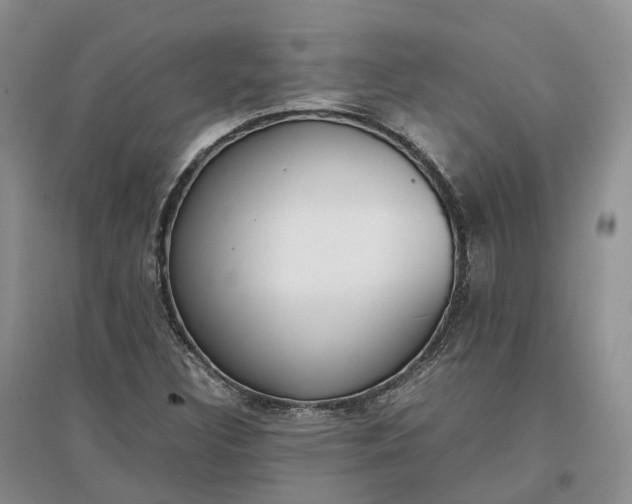 X0000097301308200802291805