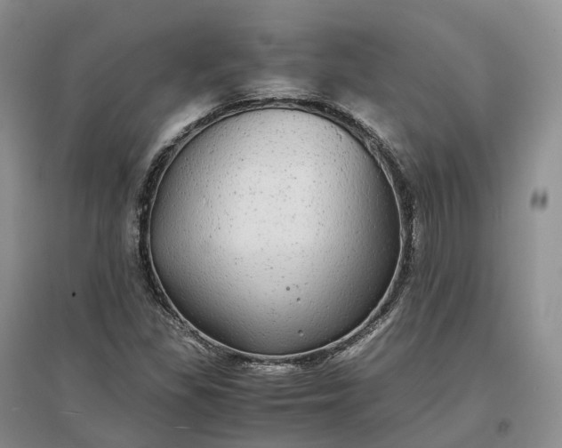 X0000097301309200802291805