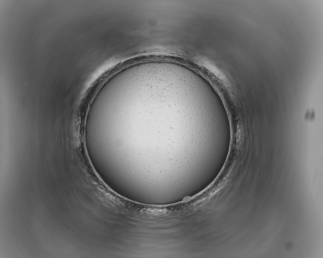 X0000097301310200802291805