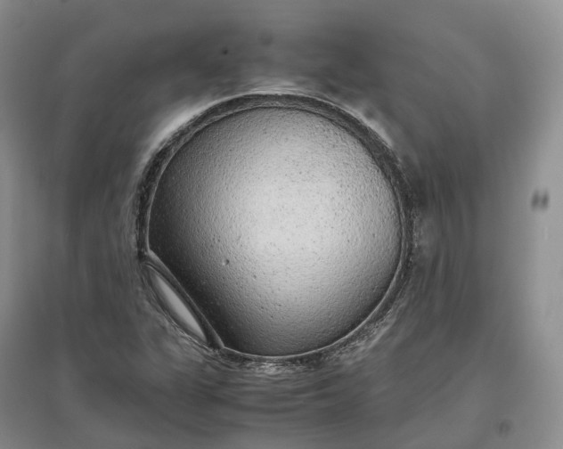 X0000097301311200802291805