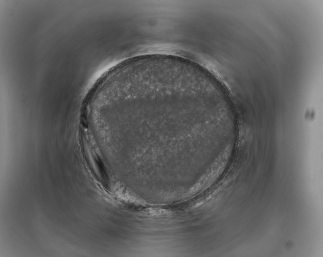 X0000097301312200802291805