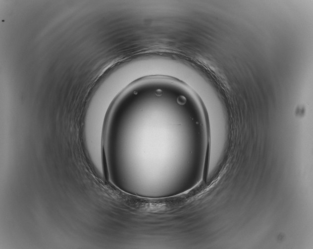 X0000097301313200802291805