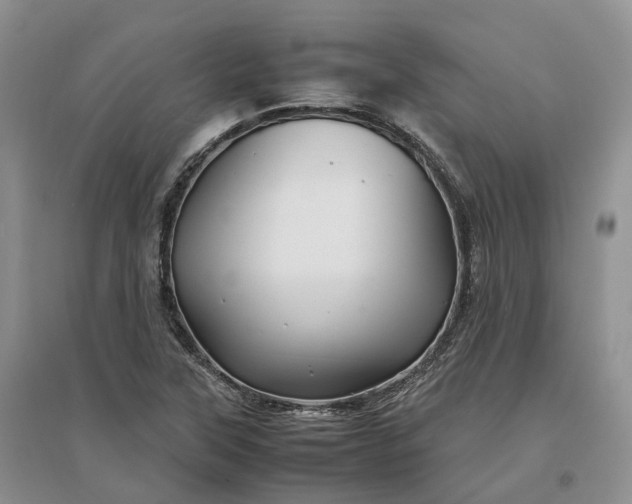 X0000097301315200802291805