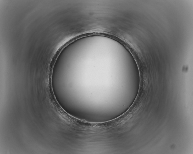 X0000097301316200802291805