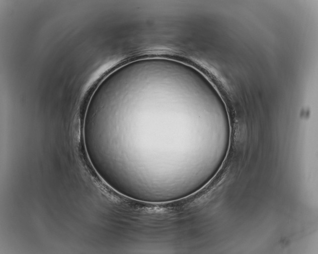 X0000097301317200802291805