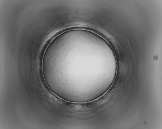 X0000097301318200802291805