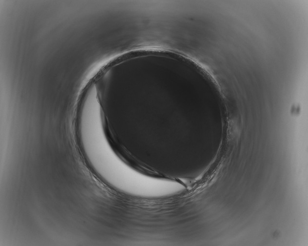 X0000097301319200802291805