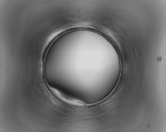 X0000097301320200802291805