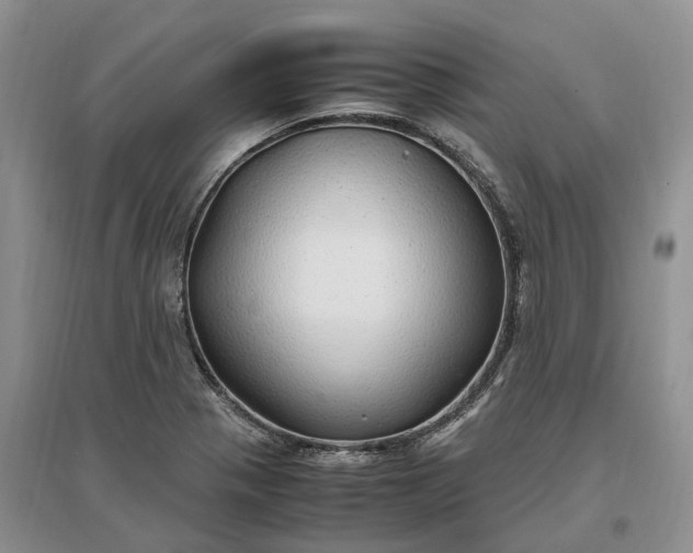 X0000097301321200802291805