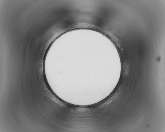 X0000097301322200802291805