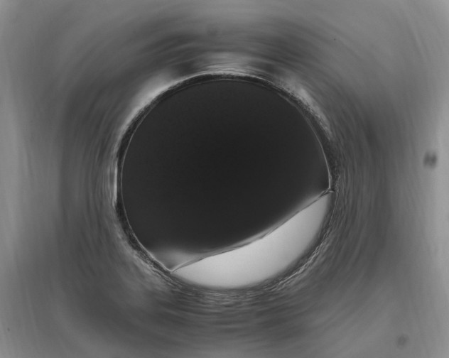 X0000097301323200802291805