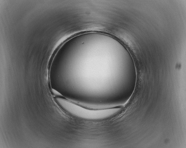 X0000097301324200802291805