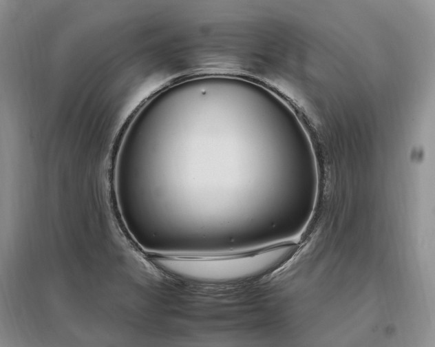 X0000097301325200802291805