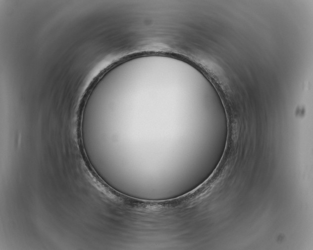 X0000097301326200802291805