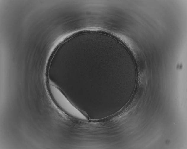 X0000097301327200802291805