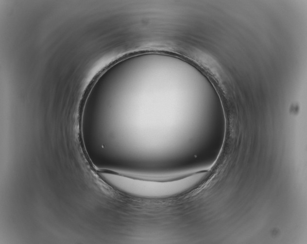 X0000097301328200802291805