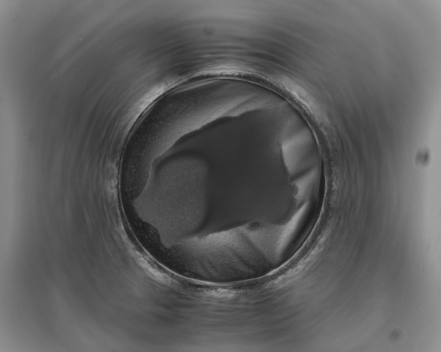 X0000097301329200802291805