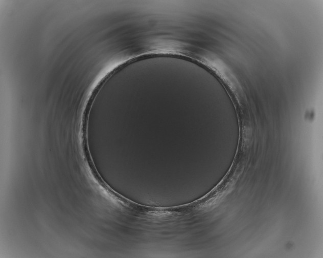 X0000097301331200802291805