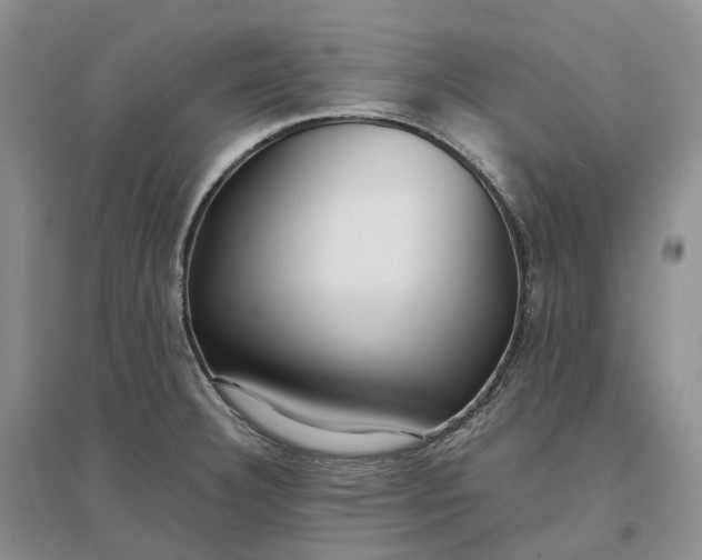 X0000097301332200802291805