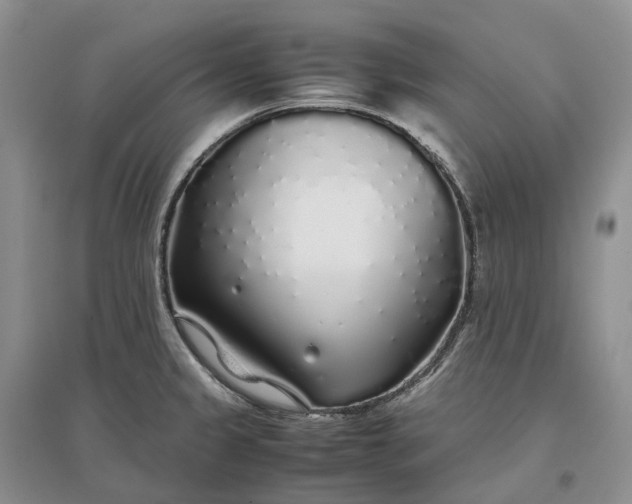 X0000097301333200802291805