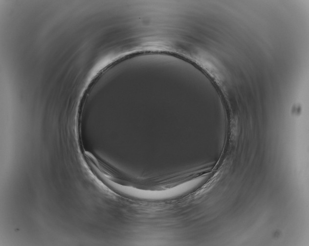 X0000097301334200802291805