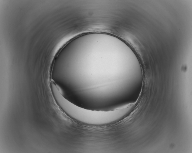 X0000097301336200802291805