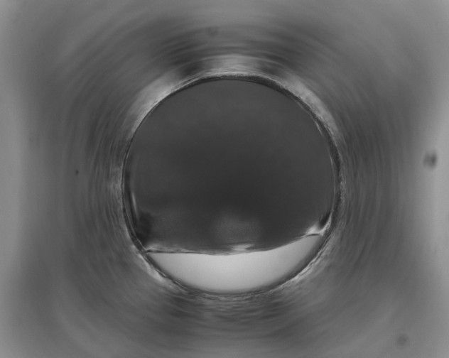 X0000097301337200802291805