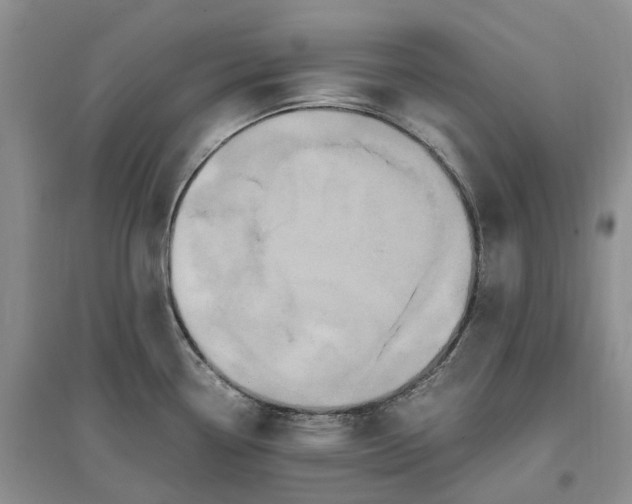 X0000097301338200802291805