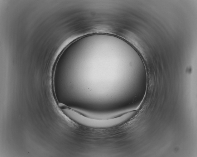 X0000097301339200802291805