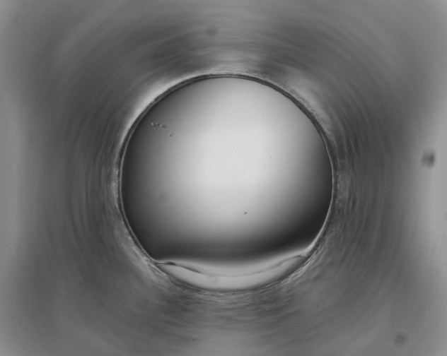 X0000097301340200802291805