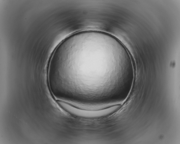 X0000097301341200802291805