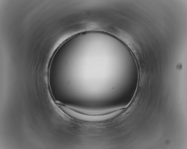 X0000097301342200802291805