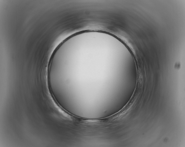 X0000097301343200802291805