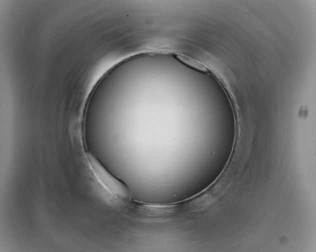 X0000097301344200802291805