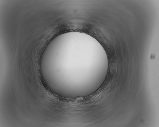 X0000097301345200802291804