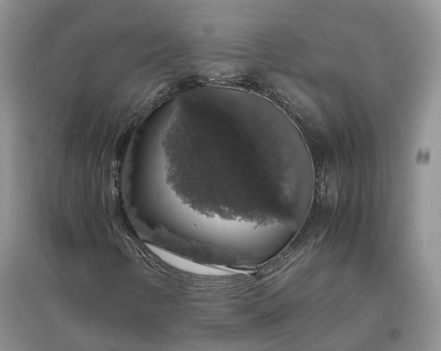 X0000097301346200802291804