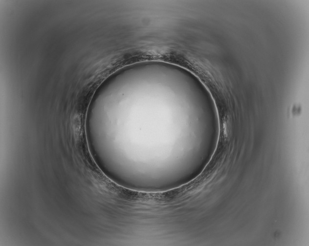 X0000097301347200802291804