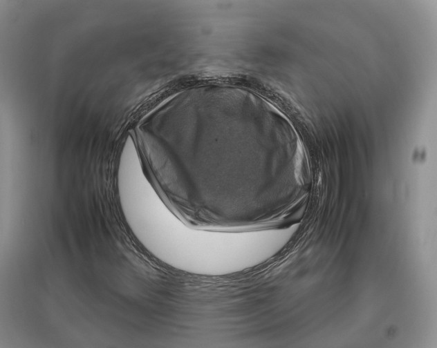 X0000097301348200802291804