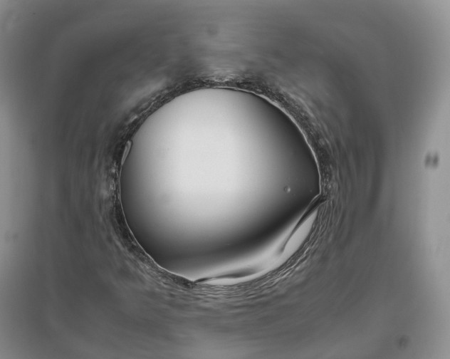 X0000097301349200802291804