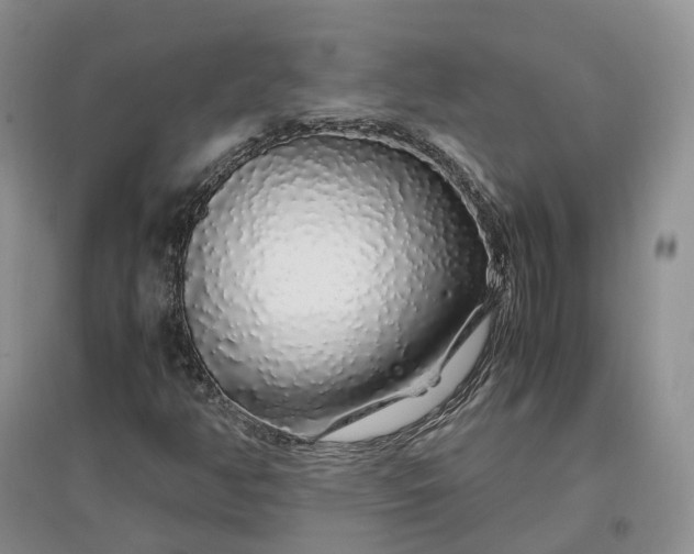 X0000097301350200802291804