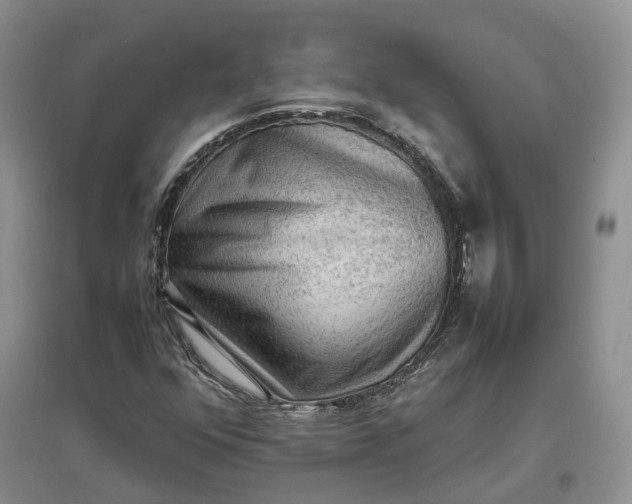 X0000097301352200802291804