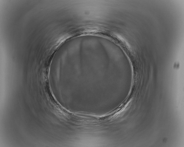 X0000097301353200802291804