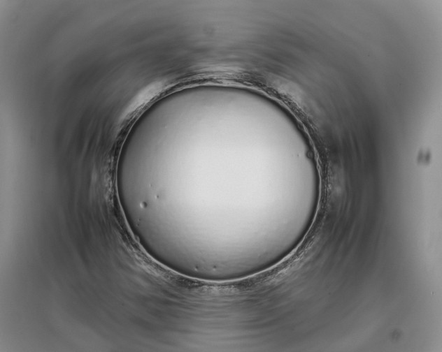 X0000097301354200802291804