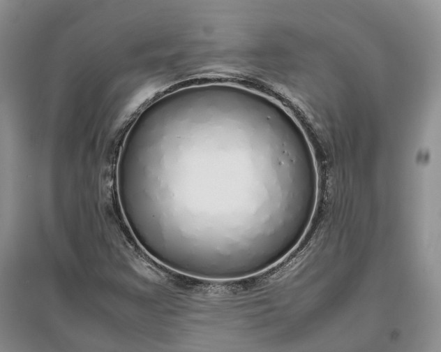 X0000097301355200802291804