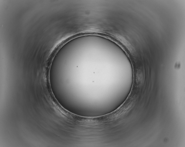 X0000097301356200802291804