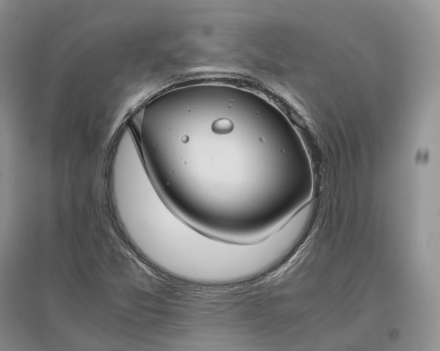 X0000097301357200802291804