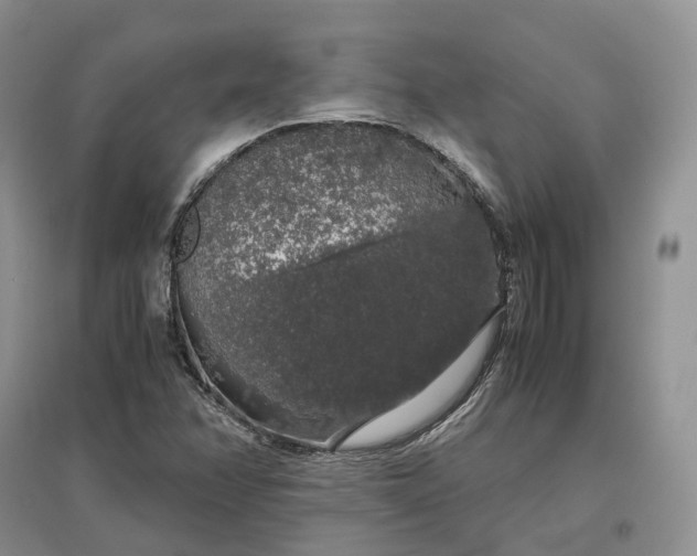 X0000097301358200802291804