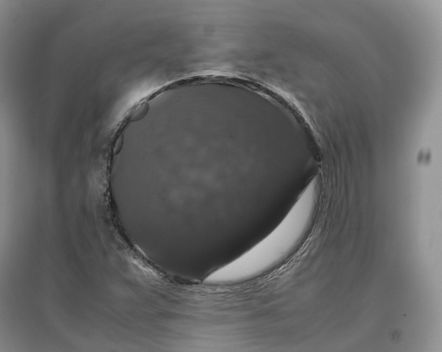 X0000097301359200802291804